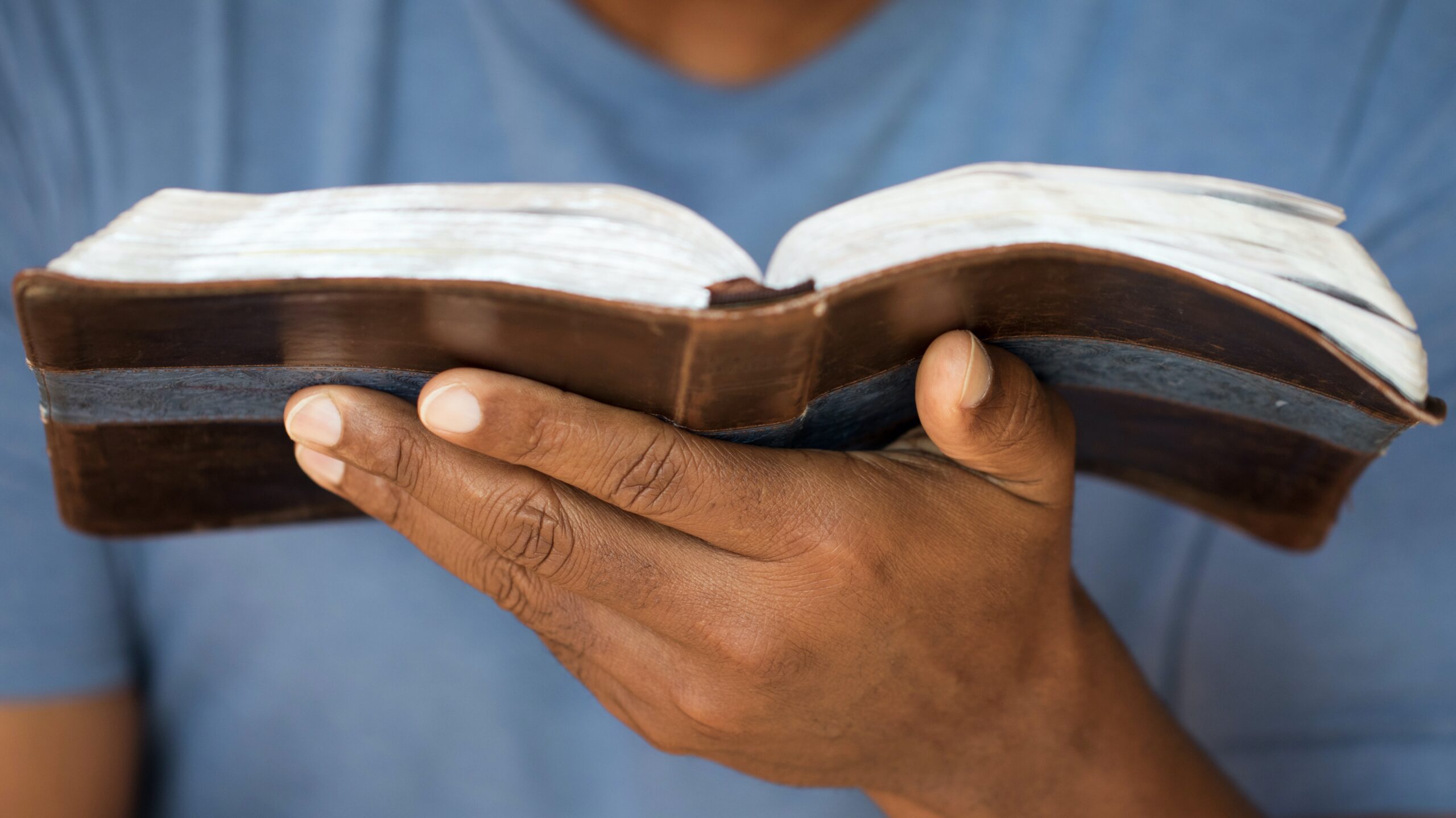 Man,Reading Image by Shutterstock.com