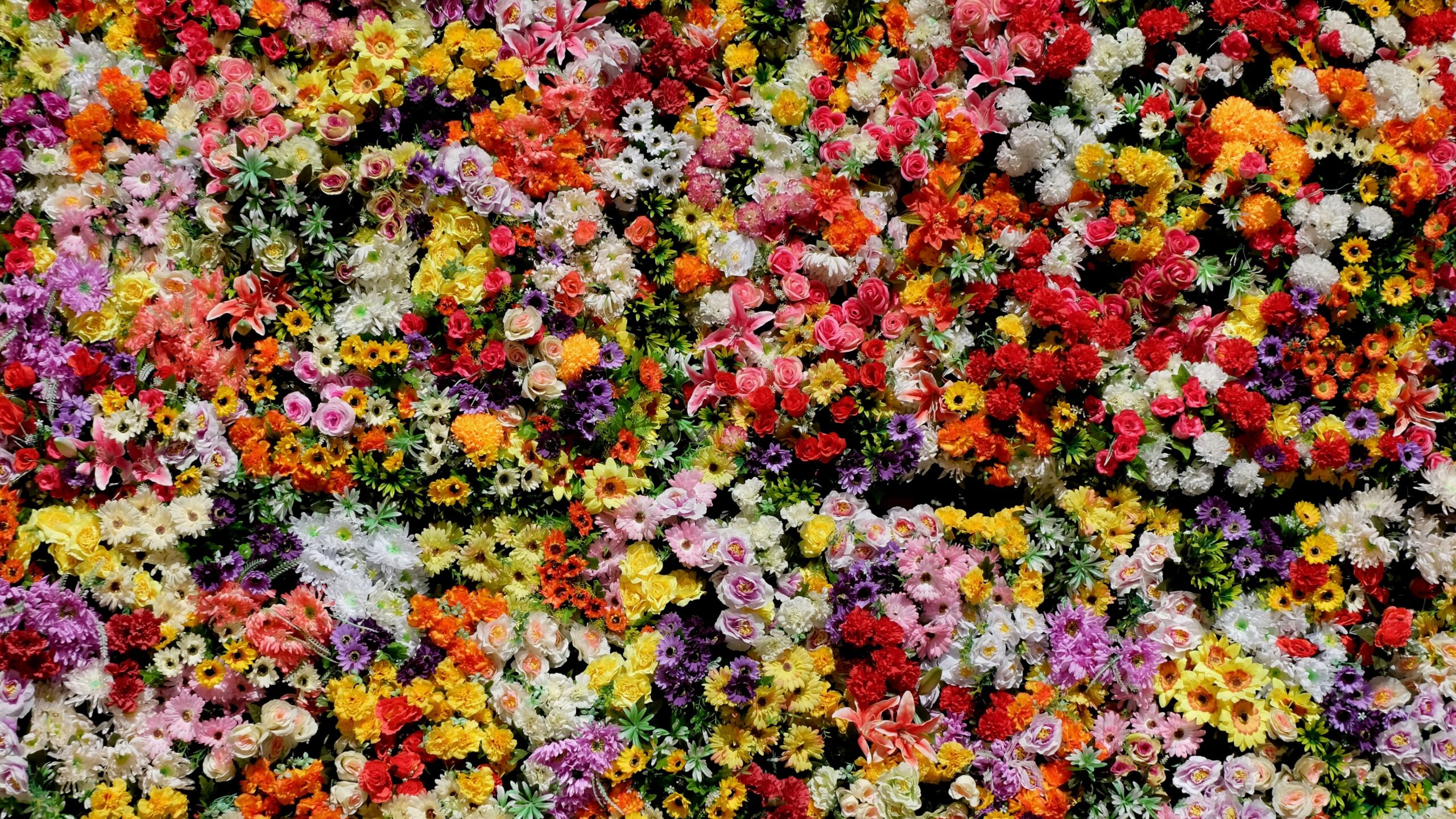 Photo Credit: Julien Chatelain on Unsplash